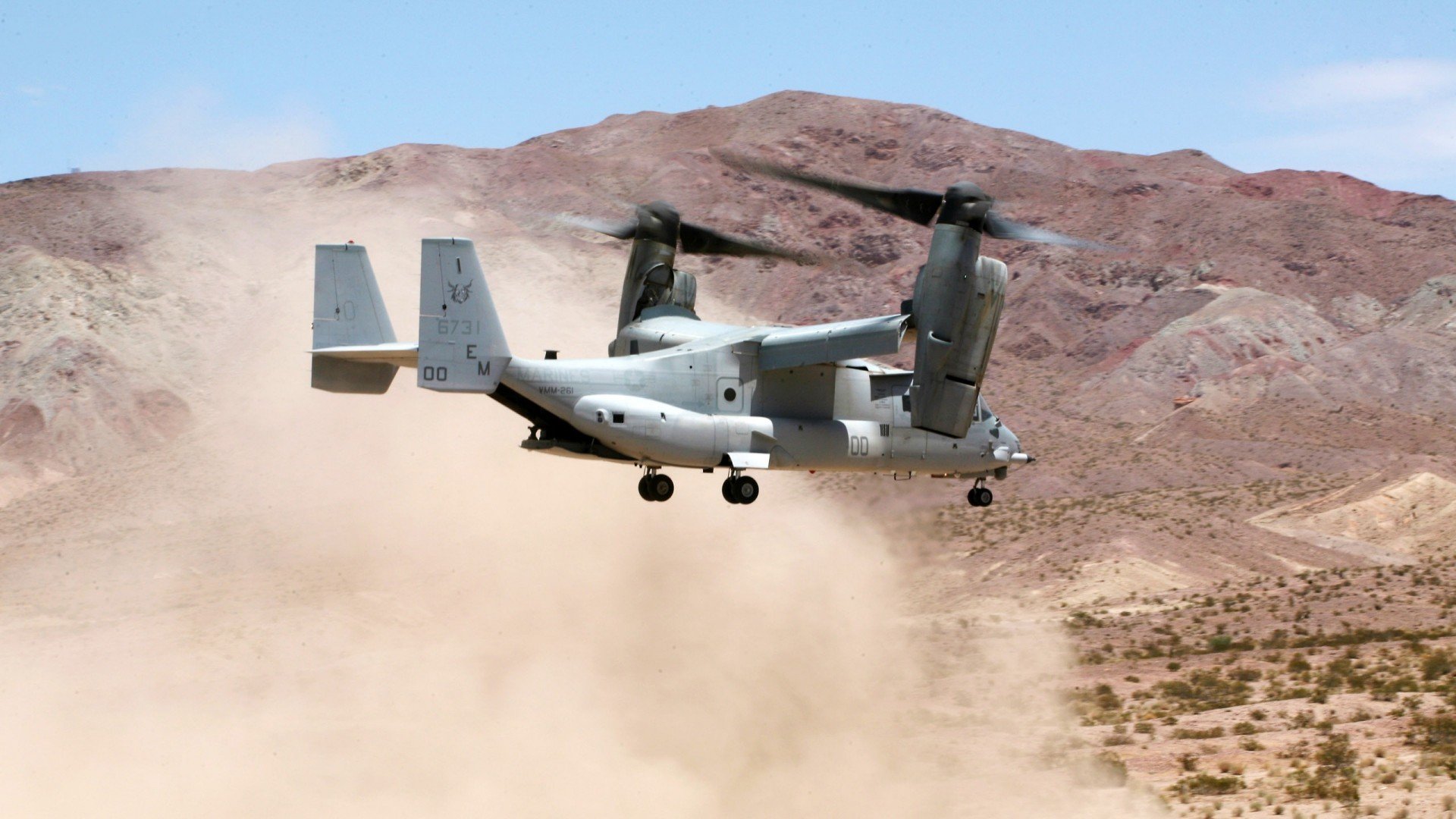 球场上空的狩猎场，当狂野小托尼成为葡萄牙的技术代言人