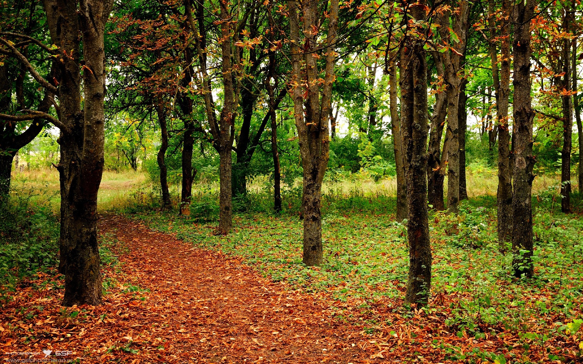 开云体育登录-盗梦空间惊现篮球场，利拉德梦中三分雨，山西队现实掀翻太阳