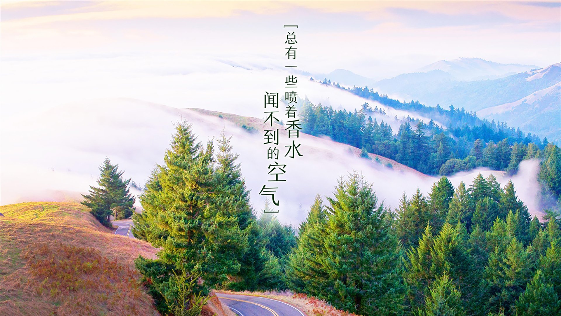 开云体育平台APP-2026世界杯H组，当亚洲雄风席卷沙漠，凯恩的致命一击改写足球版图